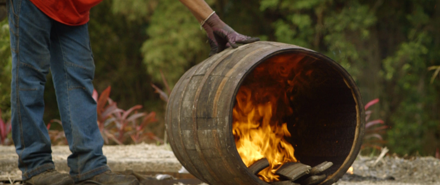 rhum clément Martinique