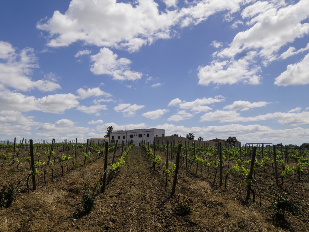 Le Baglio Donna Franca, au cœur des vignes